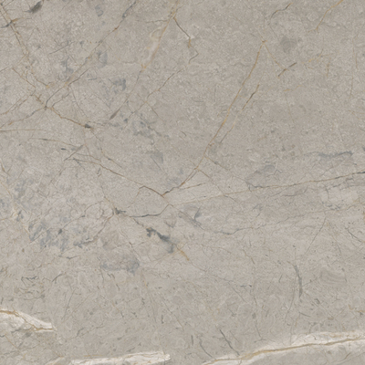 Керамогранит 2A52 Silver Grey Lappato RT 120x120