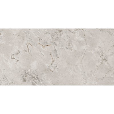 Керамогранит 93523 Karnis Silver Levigato 60x120