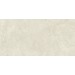 Керамогранит AX58 Boost Icor Bone Matte 60x120