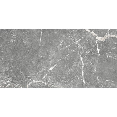 Плитка GT99VG Capella Серый 50x25