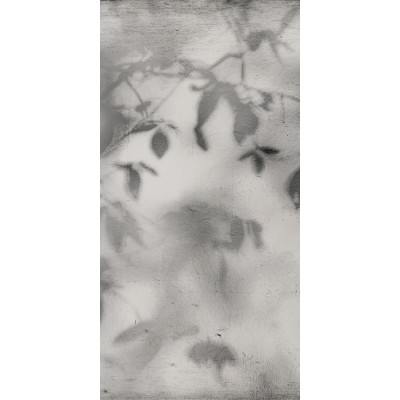 Керамогранит PF60012582 Art Walls Shadow Nat R 60x120