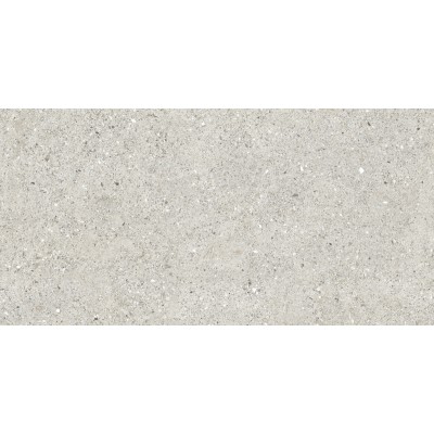 Керамогранит CR6012G0471R Granito Grigio серый матовый 59,5х119,1