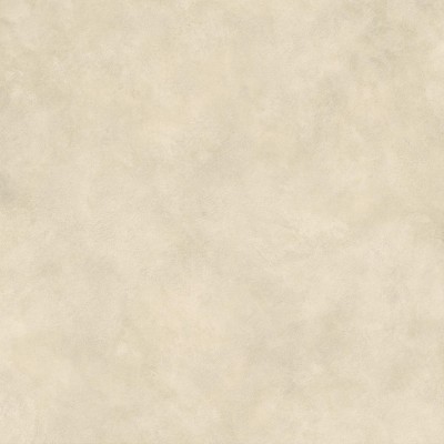 Керамогранит AYT9 Boost Expression Camel Matte 120x120