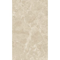 Плитка Saloni brown 01 30*50