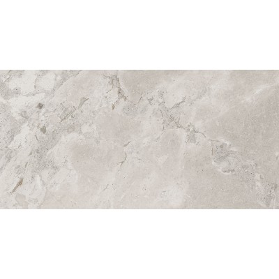 Керамогранит 93523 Karnis Silver Levigato 60x120