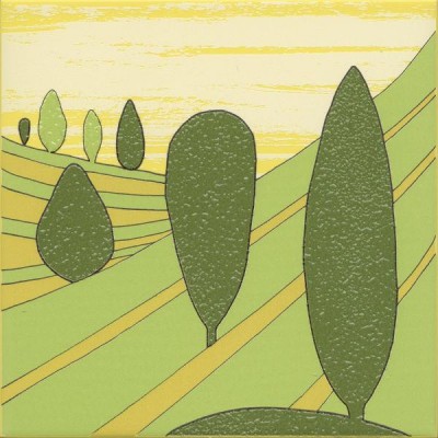 Плитка VT/A554/5109 Бардини 2 20x20