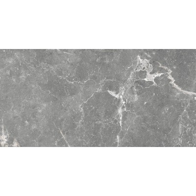 Плитка GT99VG Capella Серый 50x25