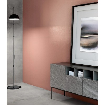 Ступени 620070001253 Millenium Silver Front 33x60