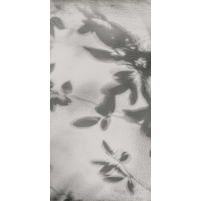 Керамогранит PF60012582 Art Walls Shadow Nat R 60x120
