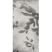 Керамогранит PF60012582 Art Walls Shadow Nat R 60x120