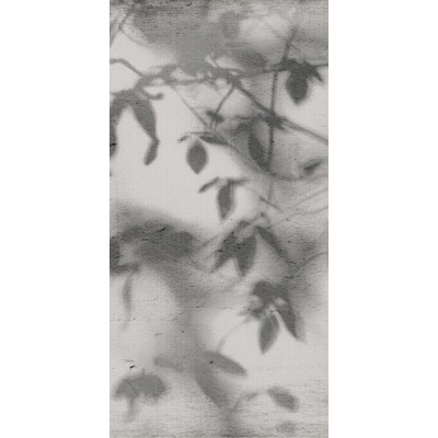 Керамогранит PF60012582 Art Walls Shadow Nat R 60x120
