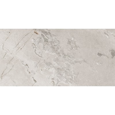 Керамогранит 93523 Karnis Silver Levigato 60x120