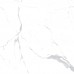 Керамогранит Statuario Fond Pol 60x60