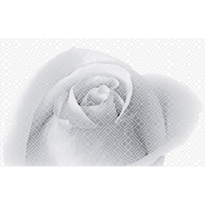 Плитка 010301001884 Камелия чёрный декор 01 25х40