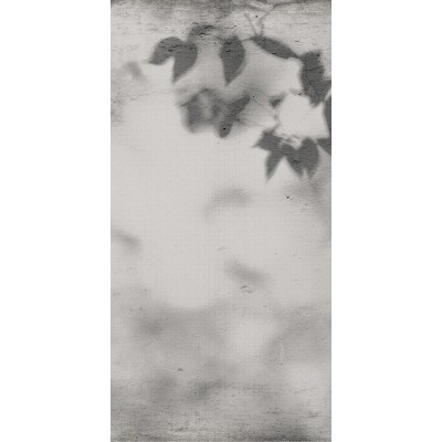 Керамогранит PF60012582 Art Walls Shadow Nat R 60x120