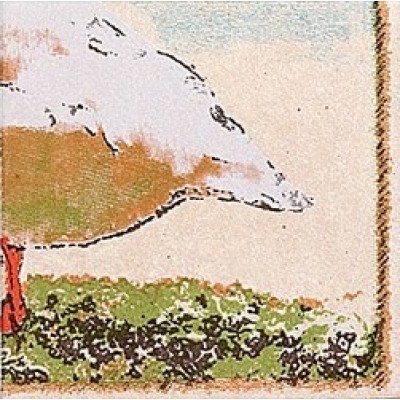 Плитка AC62/1221 Мартин 19,8*19,8