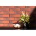 Клинкерная плитка 9515 Elewacja gladka rott 24,5х6,5х0,65