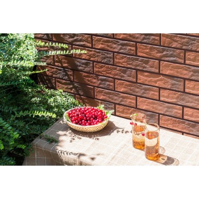 Клинкерная плитка 9515 Elewacja gladka rott 24,5х6,5х0,65