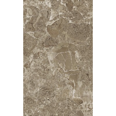 Плитка Saloni brown 02 30*50