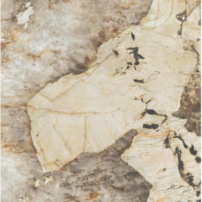 Керамогранит AFXM Marvel Desert Soul Lappato 120x120