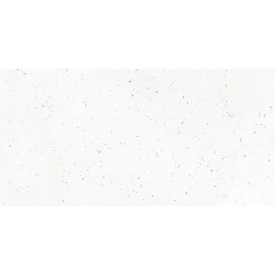 Керамогранит G-40 MR 30х60