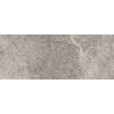 Плитка 100303462 Elegant Grey 59.6x150