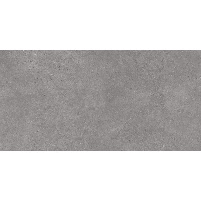 Керамогранит DL590100R Фондамента серый обрезной 119,5х238,5