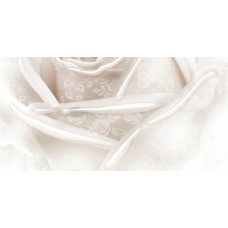 Плитка 10-05-11-350-2 Нежность бежевый B 50х25