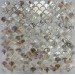 Мозаика PIX773 из натурального перламутра чешуя 25х25 300х300х2