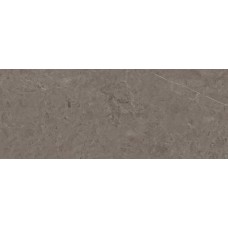 Плитка P97600101 Karachi Acero 59.6x150