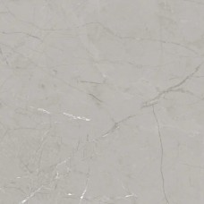 Керамогранит E-1010/MR серый 600x600x9