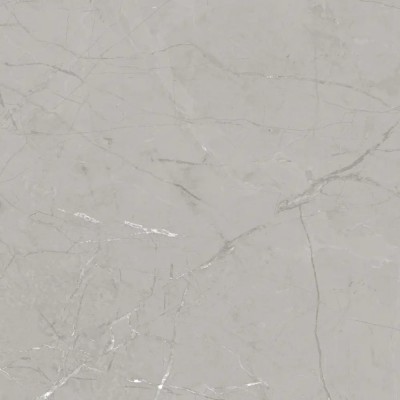 Керамогранит E-1010/MR серый 600x600x9