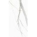 Керамогранит GT120605503PR Angel Statuario Белый 60x120