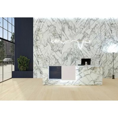 Керамогранит Premiere White Ep 60x120