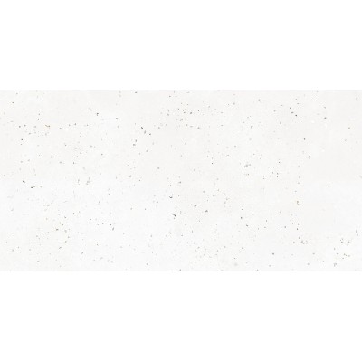 Керамогранит G-40 MR 30х60