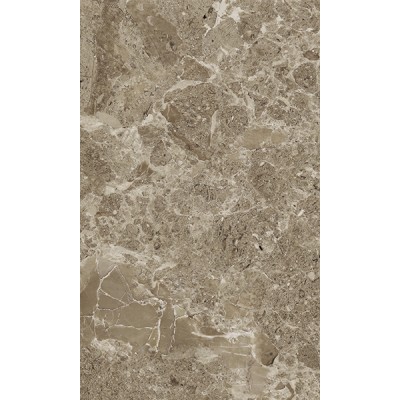 Плитка Saloni brown 02 30*50