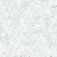 Керамогранит E-5002/MR Supreme Светло-cерый ректификат 600x600x9