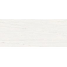 Плитка A4S4 Marvel Bianco Dolomite 50x120