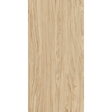 Керамогранит SG565200R Олива бежевый обрезной 60*119.5