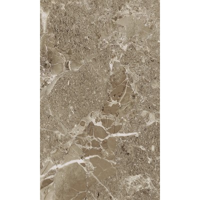 Плитка Saloni brown 02 30*50