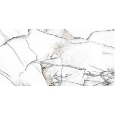 Керамогранит Premiere White Ep 60x120