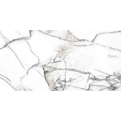 Керамогранит Premiere White Ep 60x120