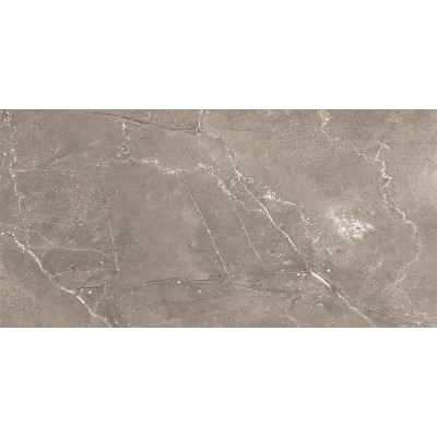 Плитка GT122VG Siluet Коричневый 50x25