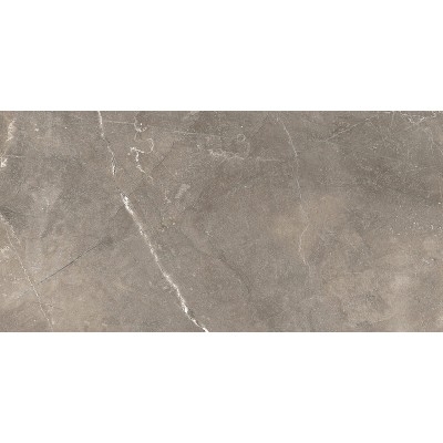 Плитка GT122VG Siluet Коричневый 50x25