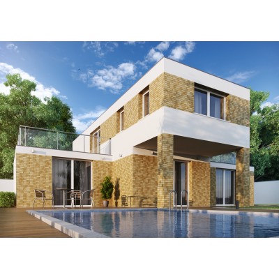 Клинкерная плитка Dakota USA elewacja rustykalna 245x65x6.5