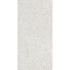 Керамогранит 36904 Cluny Silver 4D/50X100X2/A/R 50x100