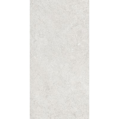 Керамогранит 36904 Cluny Silver 4D/50X100X2/A/R 50x100