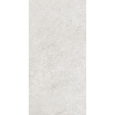 Керамогранит 36904 Cluny Silver 4D/50X100X2/A/R 50x100