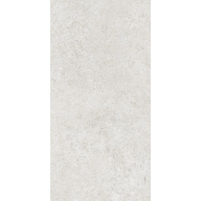 Керамогранит 36904 Cluny Silver 4D/50X100X2/A/R 50x100