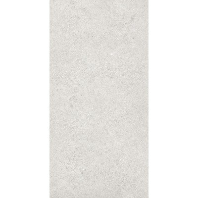 Керамогранит 36904 Cluny Silver 4D/50X100X2/A/R 50x100